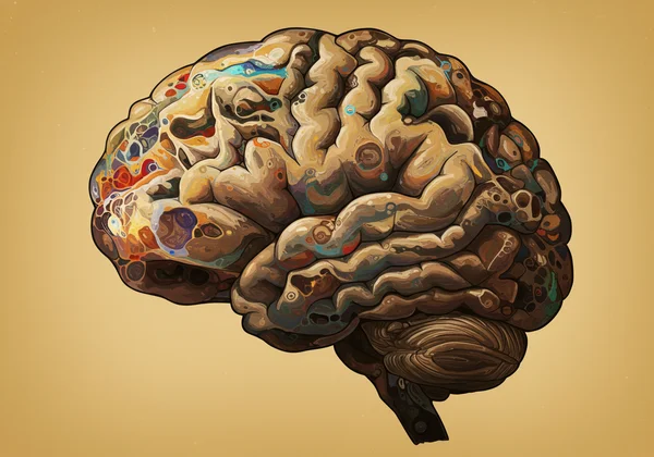 Brain with diverse thought patterns representing OCD complexity.